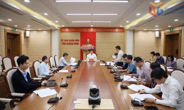 Nghe báo cáo và quyết định xét giải Hội thi Sáng tạo kỹ thuật và Cuộc thi Sáng tạo thanh thiếu niên nhi đồng