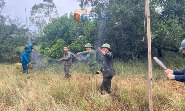 Ra quân xử lý tình trạng săn bắt chim hoang dã trái phép