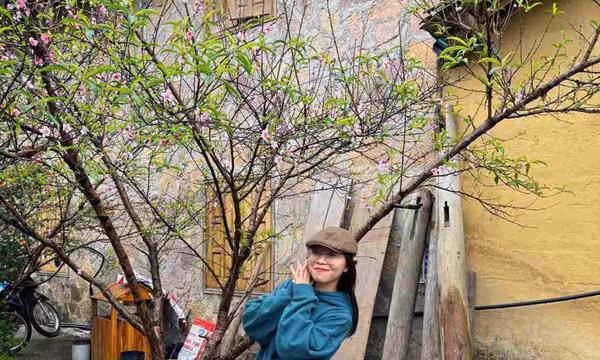 Mùa hoa đào nở sớm chen màu tam giác mạch ở làng Lô Lô Chải