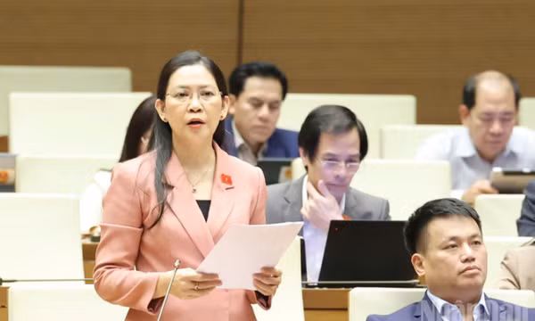 Việc thành lập văn phòng đại diện của UBND ở nước ngoài không phải là cơ chế bắt buộc