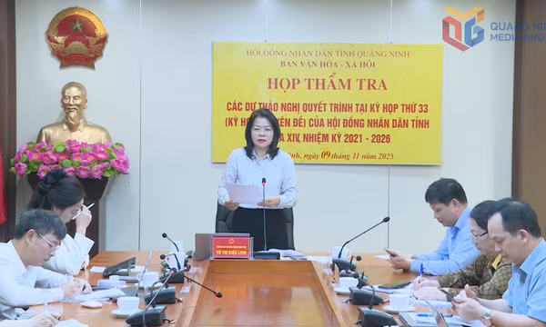 Thẩm tra các dự thảo nghị quyết trình Kỳ họp 33, HĐND tỉnh khóa XIV