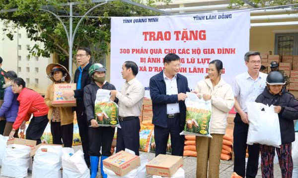 Bản tin Quảng Ninh ngày 23/11/2025