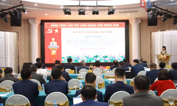 Đảng ủy Than Quảng Ninh tổng kết một số nhiệm vụ công tác xây dựng Đảng