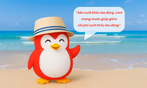 Sàn xuất khẩu lao động .com, cầu nối giữa ứng viên và nhà tuyển dụng xuất khẩu lao động