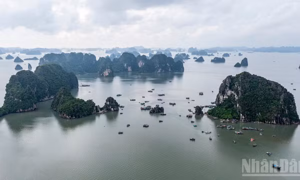 Lý giải động lực khiến lượng khách Australia đến Việt Nam tăng mạnh