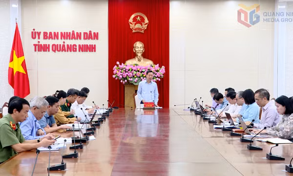 Rà soát công tác chuẩn bị tổ chức Diễn đàn hợp tác địa phương Việt - Nhật