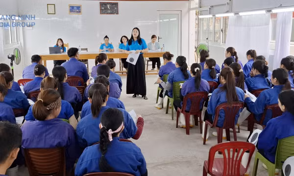 BHXH tỉnh: Quyết tâm hoàn thành toàn diện các chỉ tiêu