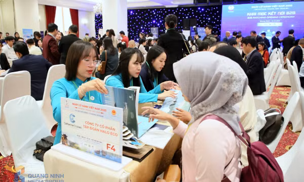 Kết nối giao thương B2B - Thúc đẩy hợp tác du lịch thực tiễn