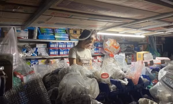 Hộ kinh doanh dưới 200 triệu đồng/năm được miễn thuế nhưng cần lưu ý các quy định bắt buộc