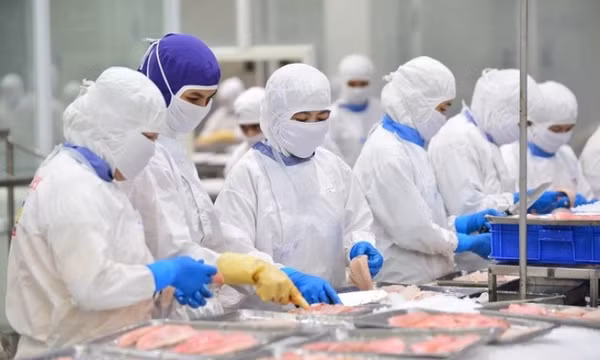 Lo xuất khẩu thủy sản chững lại cuối năm