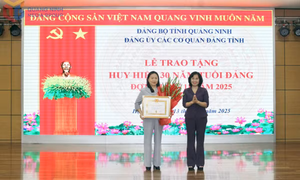 Đảng ủy các cơ quan Đảng tỉnh trao huy hiệu 30 năm tuổi Đảng