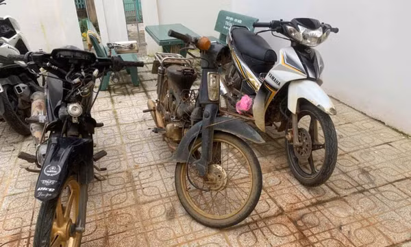Bắt khẩn cấp kẻ trộm xe, trộm chó và lừa đảo chiếm đoạt tài sản ở Lâm Đồng