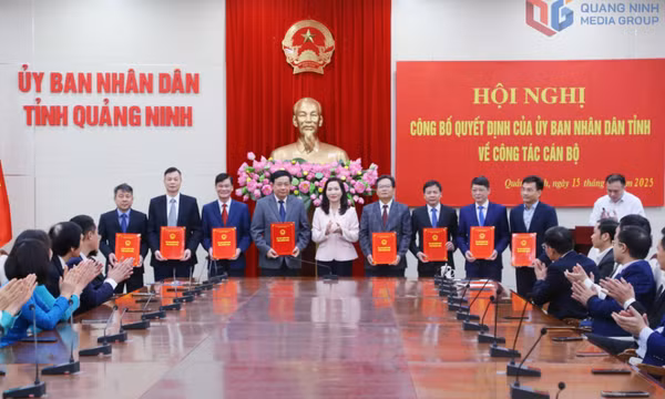 Công bố các quyết định của UBND tỉnh về công tác cán bộ