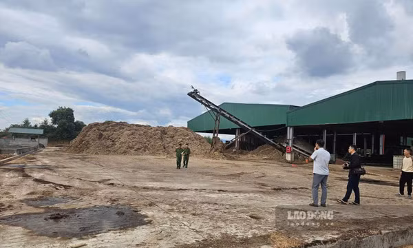Tai nạn lao động tại xưởng sản xuất gỗ ở Lào Cai khiến 2 người thương vong