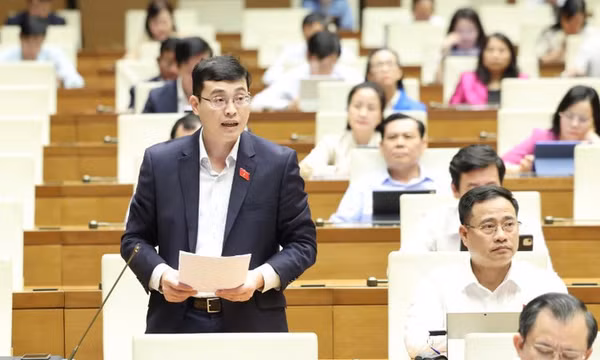 Bảo đảm quyền lựa chọn dịch vụ hỗ trợ thương mại điện tử của người tiêu dùng