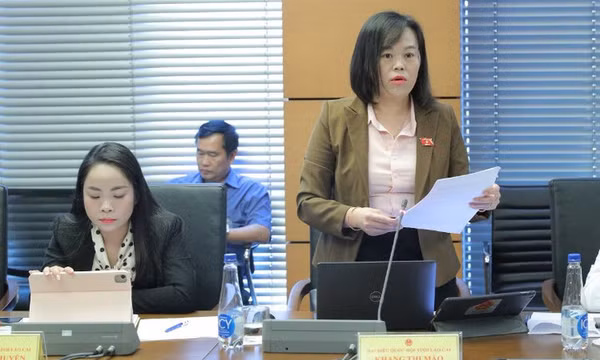 Phải có chế tài đủ mạnh đối với hành vi cố tình gây lãng phí
