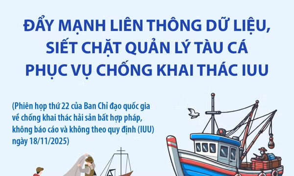 Đẩy mạnh liên thông dữ liệu, siết chặt quản lý phục vụ chống khai thác IUU