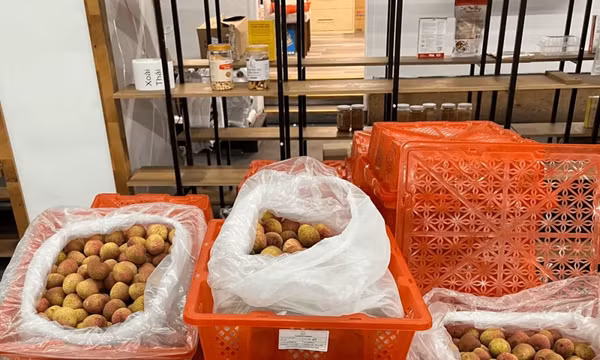 Vải thiều Việt Nam xuất sang thị trường Hoa Kỳ