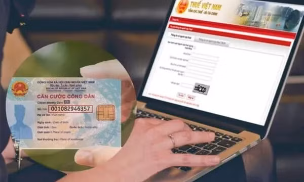 Hướng dẫn cập nhật số định danh thành mã số thuế