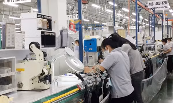 Chủ động thích ứng trong môi trường sản xuất hiện đại