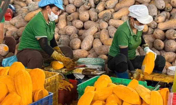 Xuất khẩu nhiều sản phẩm nông sản chủ lực tăng giá trị
