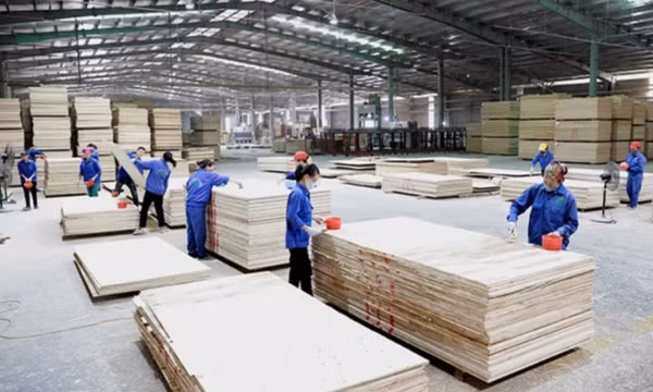 Nỗ lực đạt kim ngạch xuất khẩu gỗ 18 tỷ USD