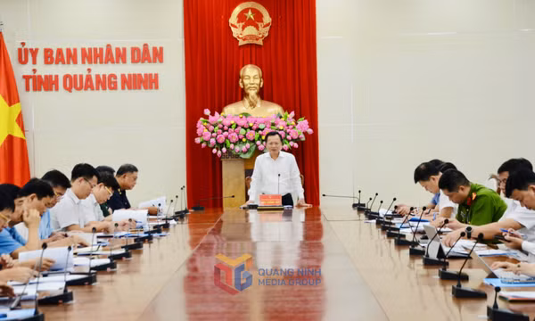 54 chủ tịch xã, phường, đặc khu phải tham gia vào Ban Chỉ đạo 389 tỉnh