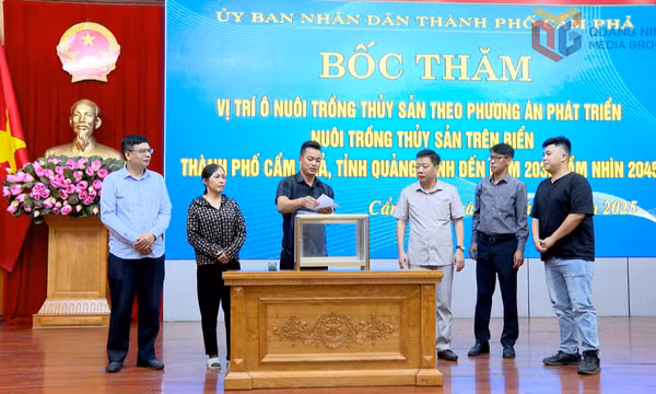Cẩm Phả: Bốc thăm đợt cuối vị trí ô nuôi trồng thủy sản trên vùng biển thành phố