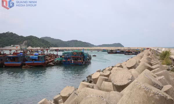 Gấp rút đầu tư, nâng cấp các khu neo đậu tránh trú bão cho tàu cá