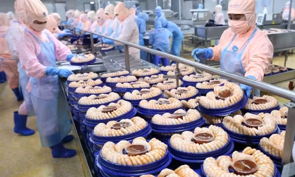 Xuất khẩu thủy sản đẩy mạnh chiến lược đa dạng hóa