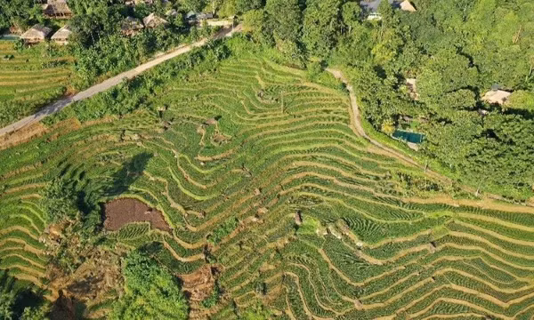 Pù Luông mùa lúa chín