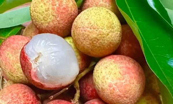 Mẹo ăn vải ngon, không nóng, không nổi mụn