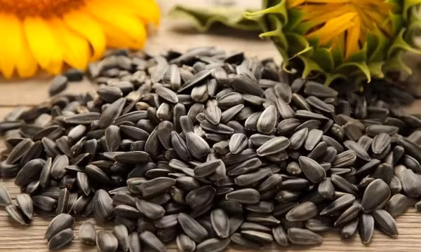 Lợi ích khi ăn hạt hướng dương