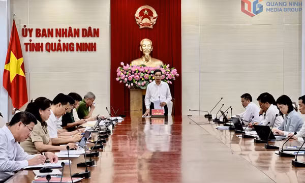 Hội nghị triển khai các luật, nghị quyết, nghị định mới ban hành