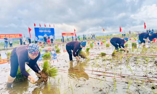 Rộn ràng Lễ hội Xuống đồng năm 2025