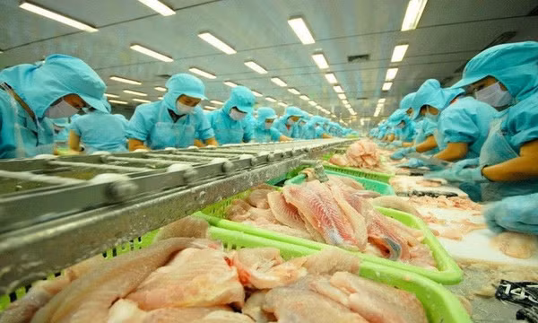 Mỹ miễn thuế chống bán phá giá cho 7 doanh nghiệp cá tra Việt Nam