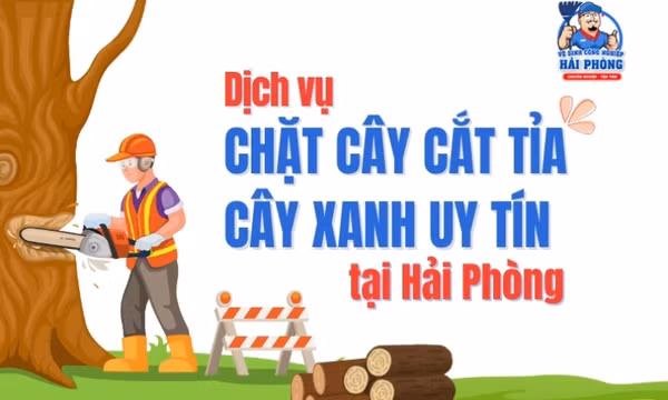 HOANGHUYCLEAN dịch vụ chặt cây, cắt tỉa cây xanh tại Hải Phòng