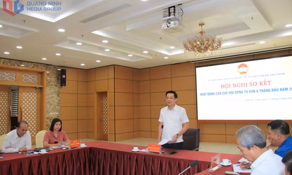 Sơ kết hoạt động 6 tháng đầu năm của các Hội đồng tư vấn
