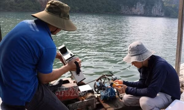 Lần đầu tiên tại Việt Nam: Mô hình AI kết hợp viễn thám giám sát chất lượng nước biển