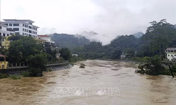 Thời tiết ngày 29/6: Mưa lớn kéo dài tại Bắc Bộ, cảnh báo nguy cơ ngập úng và lũ quét