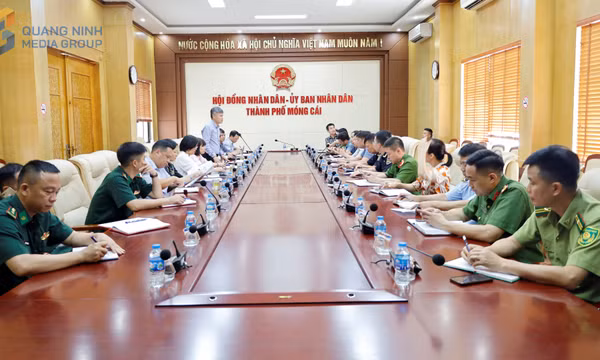 Đoàn công tác của Cục Chăn nuôi và Thú y làm việc với thành phố Móng Cái