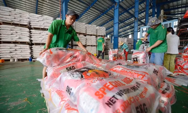 Ứng phó biến động thị trường lúa gạo