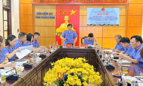 Triển khai xây dựng Đề án sơ đồ hoá quy trình thanh tra, kiểm tra giải quyết khiếu nại, tố cáo (giai đoạn 2)