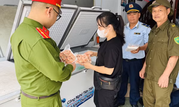 Thu giữ thực phẩm đông lạnh không rõ nguồn gốc