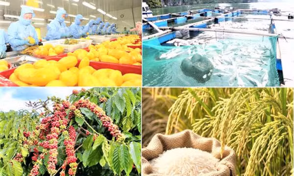 Xuất khẩu nông, lâm, thủy sản tăng hơn 10% so với cùng kỳ