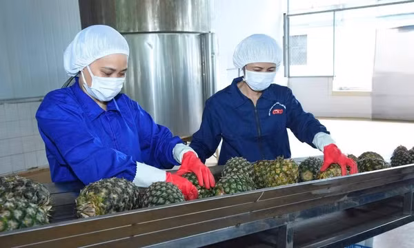 Duy trì thị trường nông sản Trung Đông