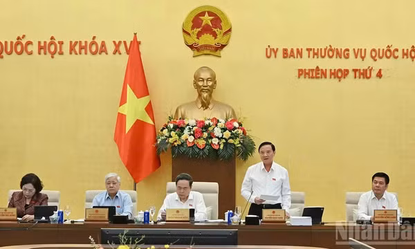 Tạo lập khuôn khổ pháp lý ổn định, đột phá và khả thi thúc đẩy phát triển Thành phố Hồ Chí Minh và các đô thị đặc biệt