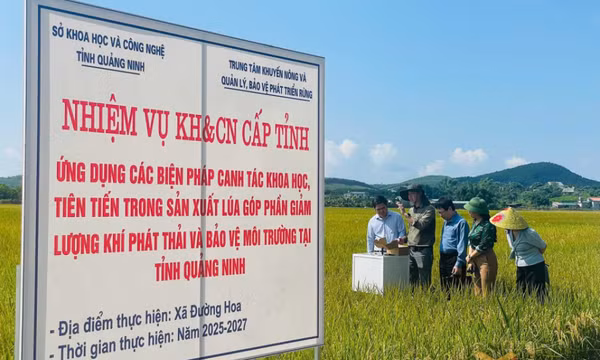 Thúc đẩy sản xuất lúa theo hướng giảm phát thải