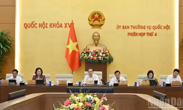 Sửa Luật Đất đai: Khắc phục bằng được tình trạng không sử dụng đất, để đất hoang hóa
