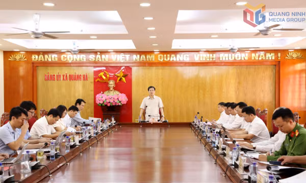 Phát huy vai trò động lực của Quảng Hà trong cực tăng trưởng phía Đông của tỉnh